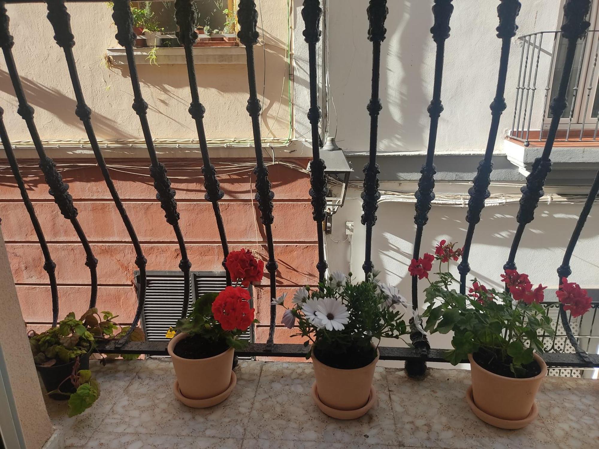 Estreno Centro Y Playa Cadiz Διαμέρισμα Εξωτερικό φωτογραφία